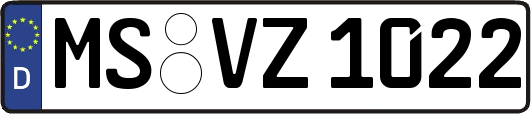 MS-VZ1022