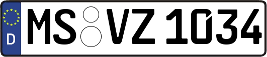MS-VZ1034