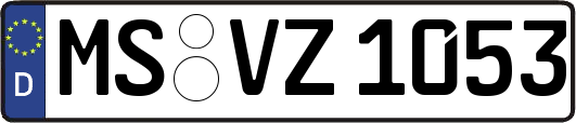 MS-VZ1053