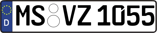 MS-VZ1055