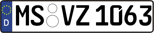 MS-VZ1063