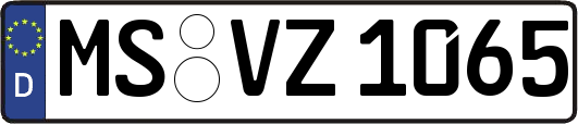 MS-VZ1065