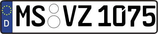 MS-VZ1075