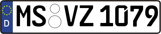 MS-VZ1079