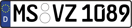 MS-VZ1089