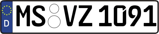 MS-VZ1091