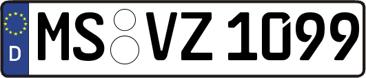 MS-VZ1099