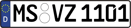 MS-VZ1101