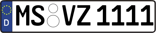 MS-VZ1111