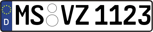MS-VZ1123