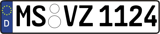 MS-VZ1124