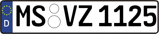 MS-VZ1125