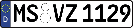 MS-VZ1129