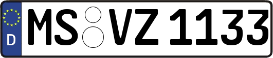 MS-VZ1133