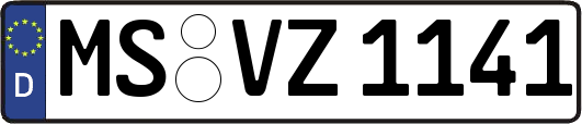 MS-VZ1141
