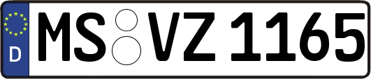 MS-VZ1165
