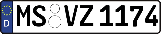 MS-VZ1174