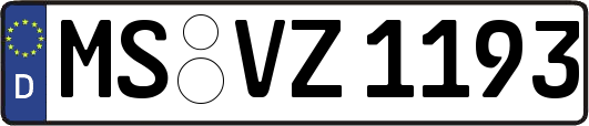 MS-VZ1193