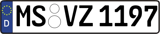 MS-VZ1197