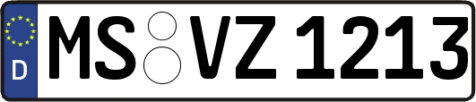 MS-VZ1213