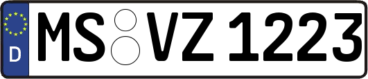 MS-VZ1223