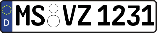 MS-VZ1231