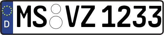 MS-VZ1233