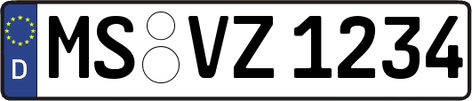 MS-VZ1234
