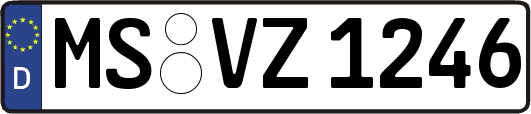 MS-VZ1246