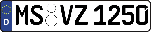 MS-VZ1250
