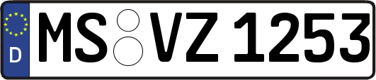 MS-VZ1253