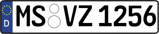 MS-VZ1256