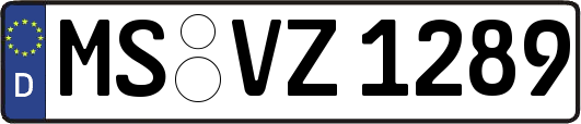 MS-VZ1289