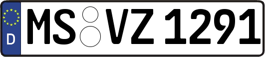 MS-VZ1291