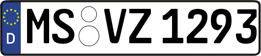 MS-VZ1293