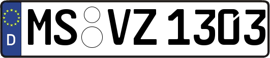 MS-VZ1303