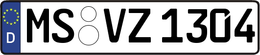 MS-VZ1304