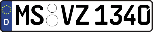 MS-VZ1340