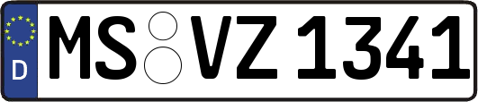 MS-VZ1341