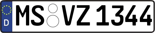 MS-VZ1344