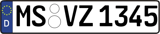 MS-VZ1345