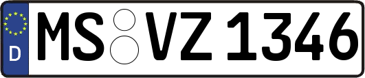 MS-VZ1346