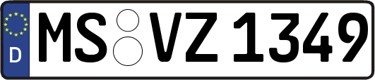 MS-VZ1349