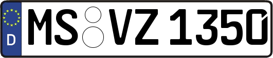 MS-VZ1350