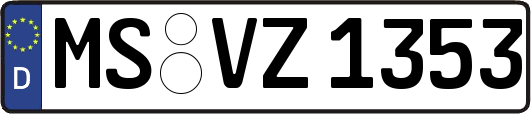 MS-VZ1353