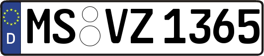 MS-VZ1365