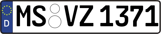 MS-VZ1371
