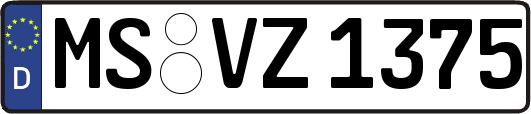 MS-VZ1375