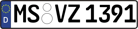 MS-VZ1391