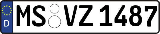 MS-VZ1487